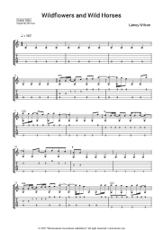 Sheet music, chords Lainey Wilson - Wildflowers and Wild Horses